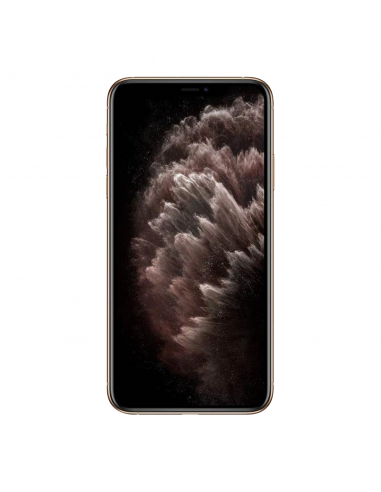 iPhone 11 Pro Max 512 Go - Or - Débloqué avec coque en Silicone pour iPhone 11 Pro Max - Pamplemousse - Batterie Optimisée votre