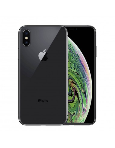 iPhone XS 256 Go - Gris Sidéral - Débloqué - Batterie Neuve Amélioration de cerveau avec